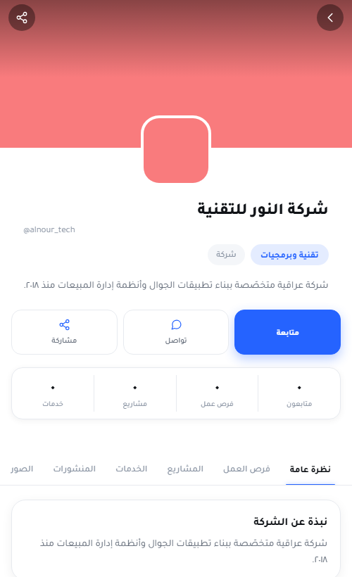 لقطة شاشة من ملف شركة على WorkIQ